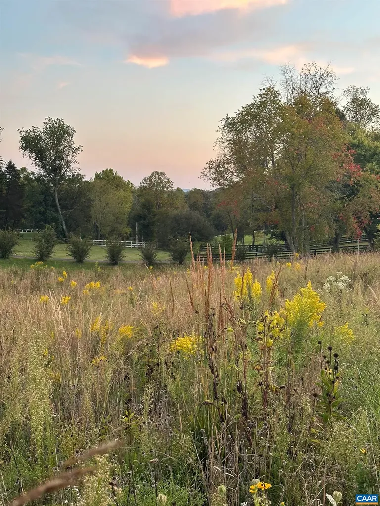 2706 Dunromin Road Charlottesville VA 22901