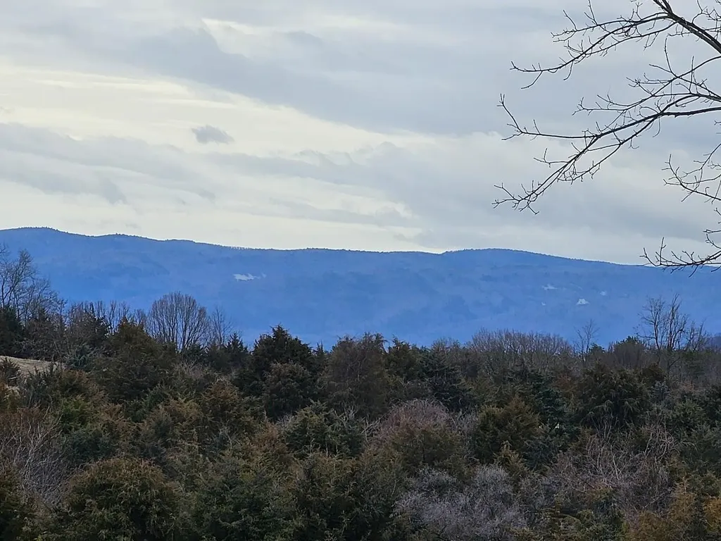 Lot 5 Berry Farm Road Staunton VA 24401