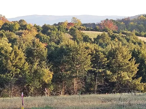 Lot 5 Berry Farm Road Staunton VA 24401