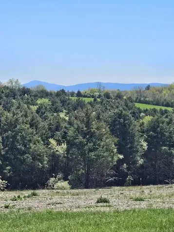 Lot 5 Berry Farm Road Staunton VA 24401