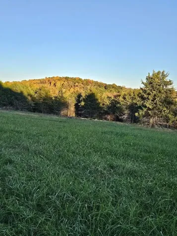 Lot 5 Berry Farm Road Staunton VA 24401