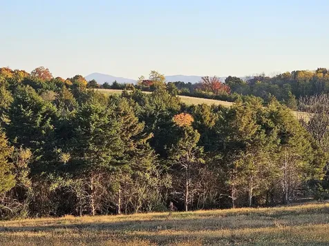 Lot 5 Berry Farm Road Staunton VA 24401
