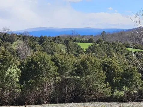 Lot 5 Berry Farm Road Staunton VA 24401