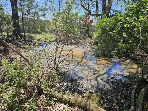 Lot 5 Berry Farm Road Staunton VA 24401