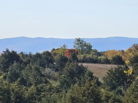 Lot 5 Berry Farm Road Staunton VA 24401
