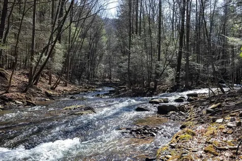 9601 Briery Branch Road Dayton VA 22821