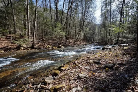 9601 Briery Branch Road Dayton VA 22821