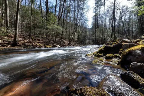 9601 Briery Branch Road Dayton VA 22821