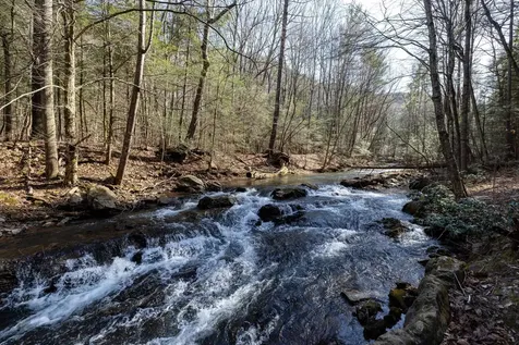 9601 Briery Branch Road Dayton VA 22821