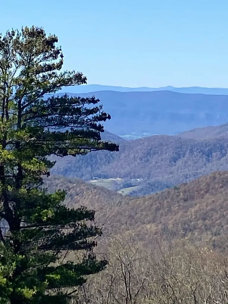 370 Bruins Run Elkton VA 22827