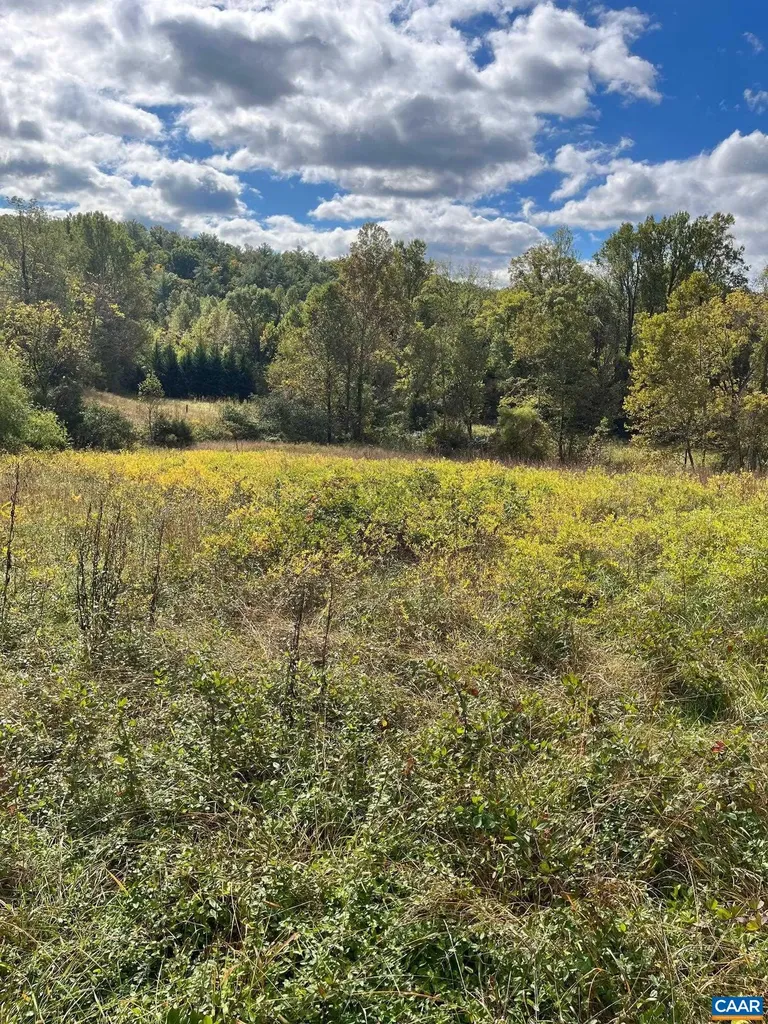 Lot 2a Browns Gap Turnpike Crozet VA 22920