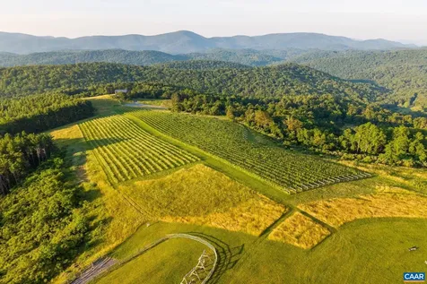 24981 Blue Ridge Parkway Vesuvius VA 24483