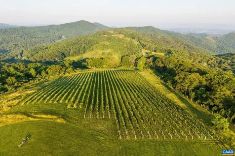 24981 Blue Ridge Parkway Vesuvius VA 24483