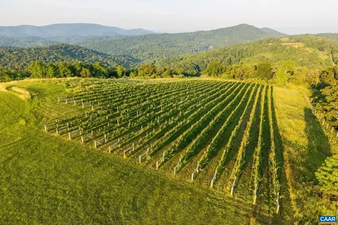 24981 Blue Ridge Parkway Vesuvius VA 24483