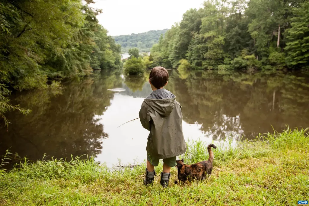 3412 Odom Court Charlottesville VA 22901