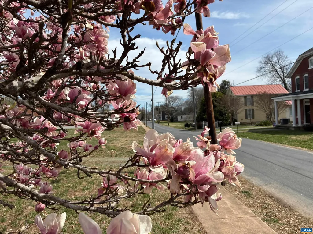 124 West Street Louisa VA 23093