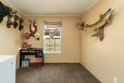 320 Cavalier Road Rileyville VA 22650