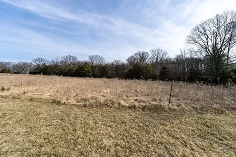 320 Cavalier Road Rileyville VA 22650