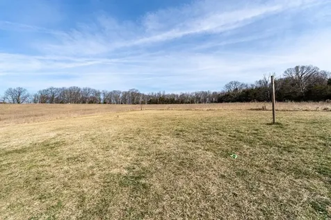 320 Cavalier Road Rileyville VA 22650