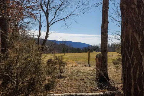 Tbd Hollow Road Fulks Run VA 22830