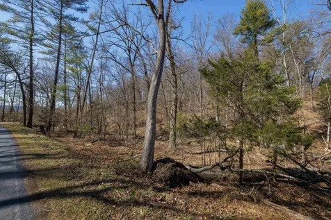 Tbd Hollow Road Fulks Run VA 22830
