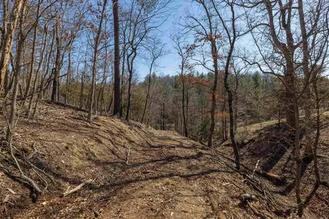 Tbd Hollow Road Fulks Run VA 22830