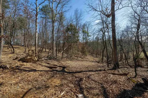 Tbd Hollow Road Fulks Run VA 22830