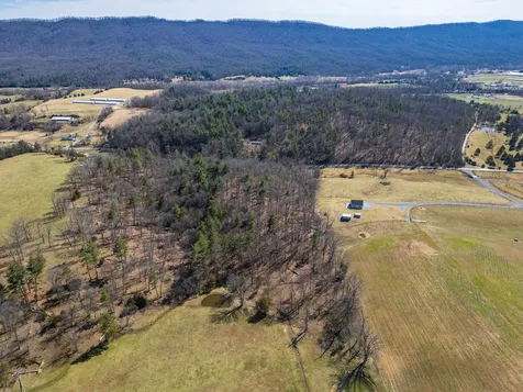 Tbd Hollow Road Fulks Run VA 22830
