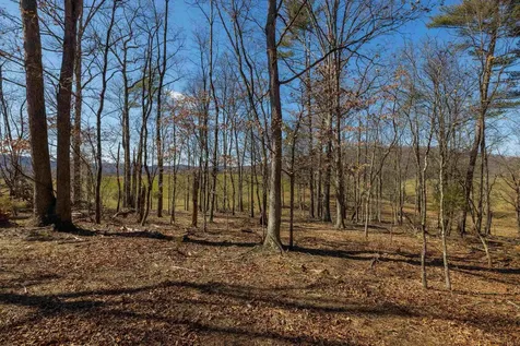 Tbd Hollow Road Fulks Run VA 22830