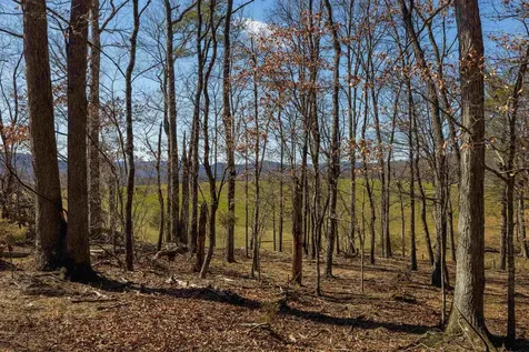 Tbd Hollow Road Fulks Run VA 22830