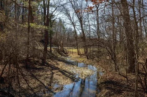 Tbd Hollow Road Fulks Run VA 22830