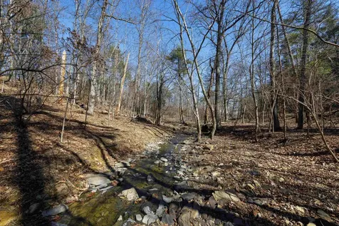 Tbd Hollow Road Fulks Run VA 22830