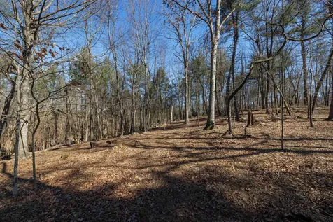 Tbd Hollow Road Fulks Run VA 22830
