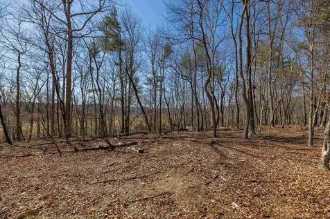 Tbd Hollow Road Fulks Run VA 22830