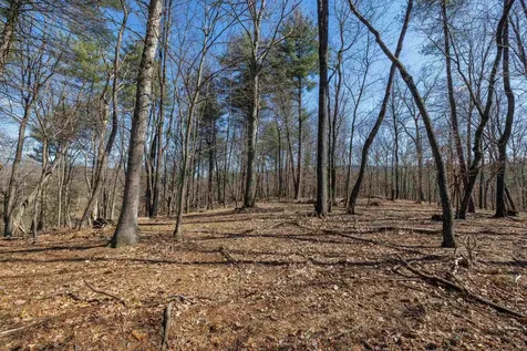 Tbd Hollow Road Fulks Run VA 22830
