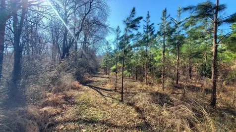 213AC Level Run Road Long Island VA 24569