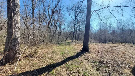 213AC Level Run Road Long Island VA 24569