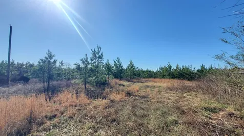 213AC Level Run Road Long Island VA 24569
