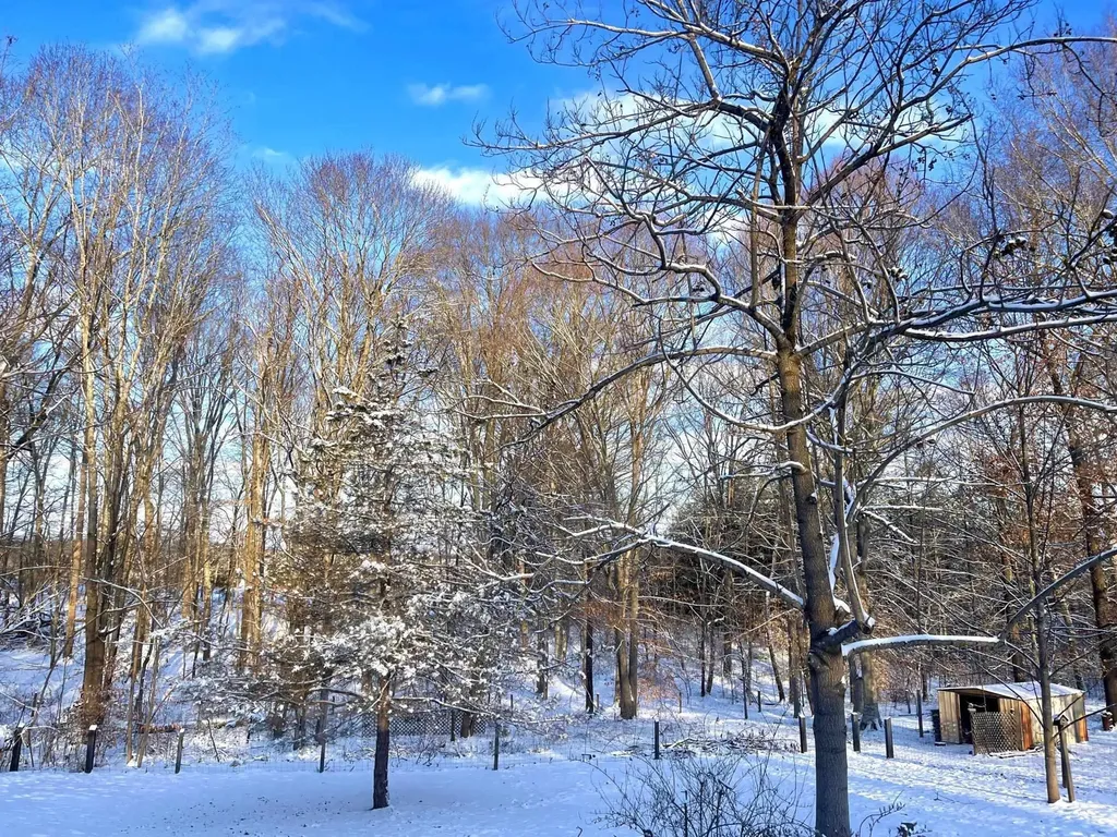 14322 Dickerson Lane Barboursville VA 22923