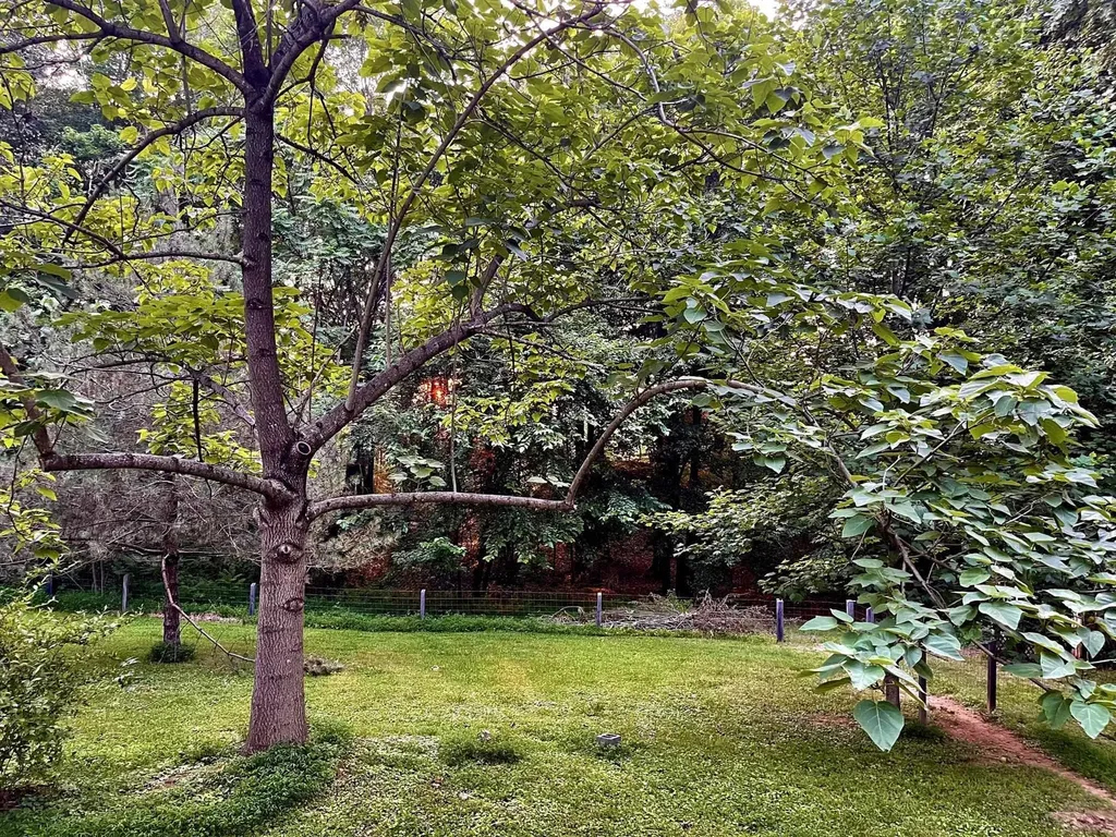 14322 Dickerson Lane Barboursville VA 22923