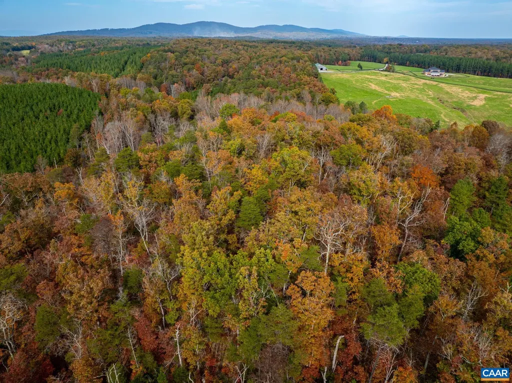 2395 Mountain Brook Drive Charlottesville VA 22902