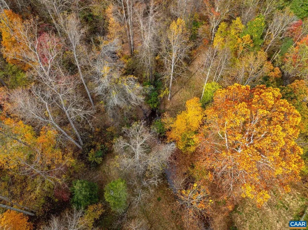 2395 Mountain Brook Drive Charlottesville VA 22902