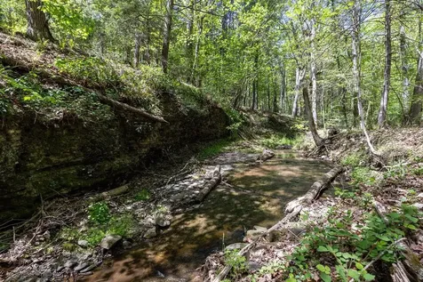 20708 Mays Creek Lane Bergton VA 22811