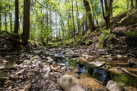 20708 Mays Creek Lane Bergton VA 22811