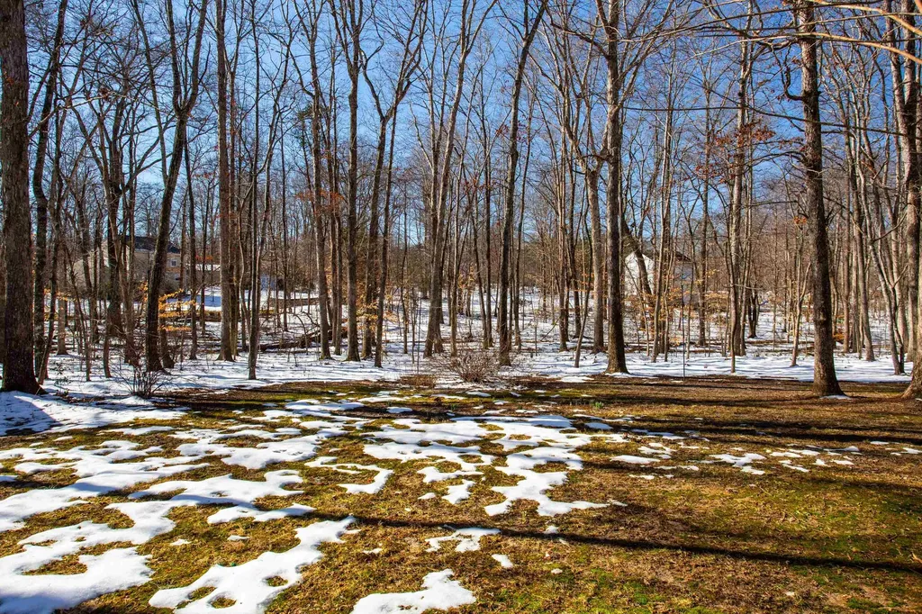 4296 Campbell Road Troy VA 22974