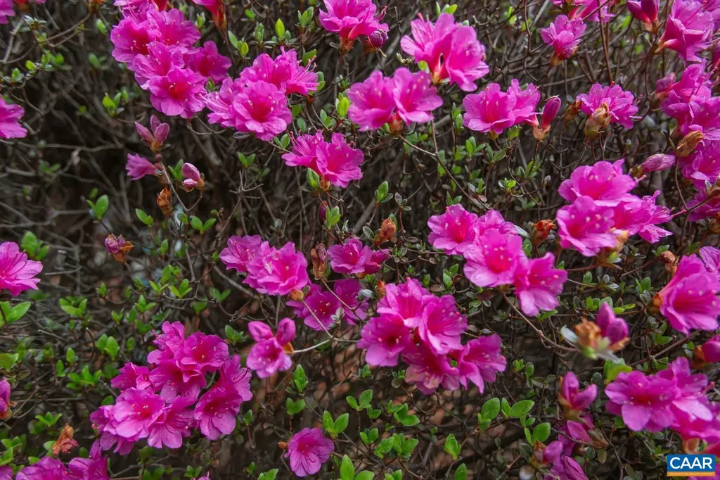 2750 Meriwether Drive Charlottesville VA 22901