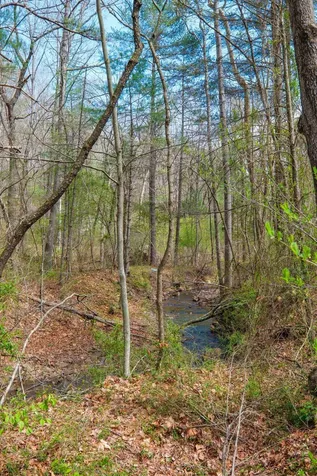 199 Silver Mine Road Churchville VA 24421