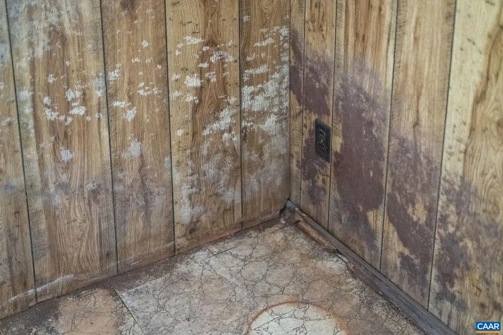 1118 Preddy Creek Road Barboursville VA 22923