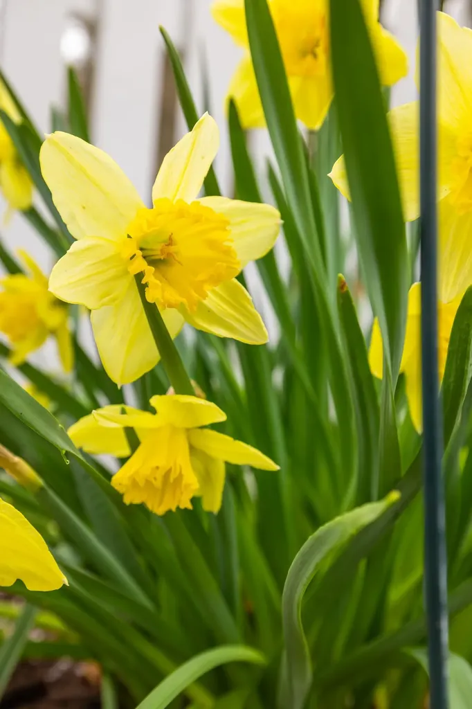 812 Vinegar Hill Road Churchville VA 24421