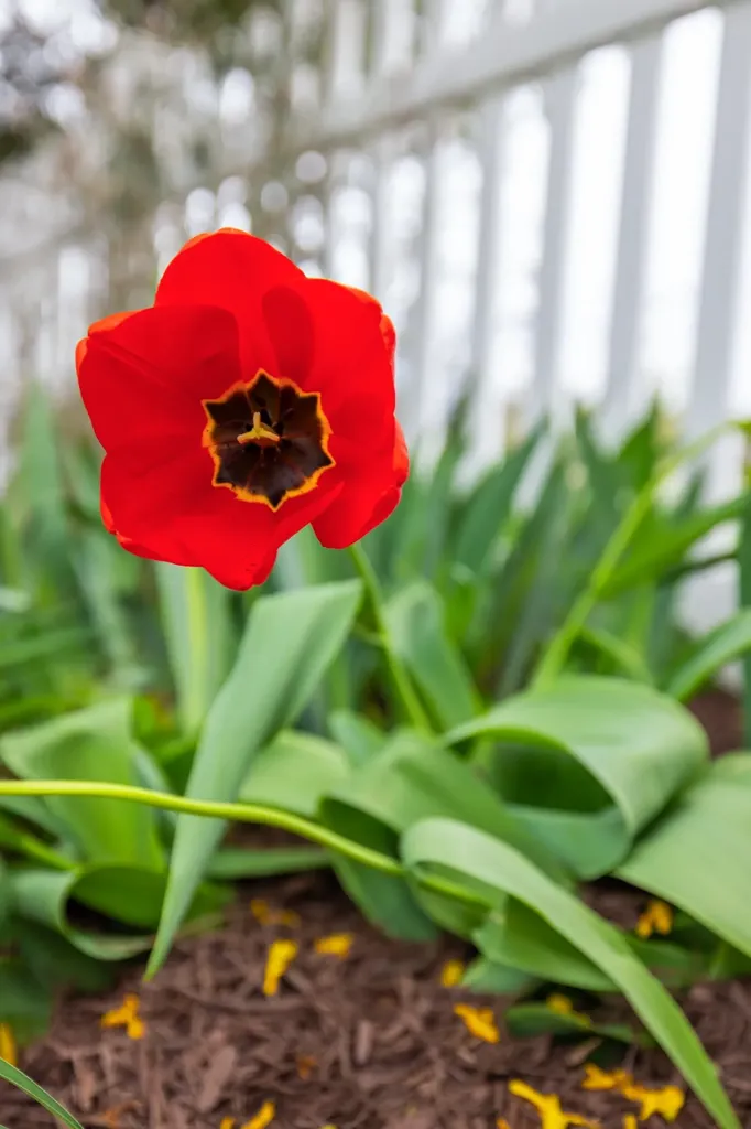 812 Vinegar Hill Road Churchville VA 24421